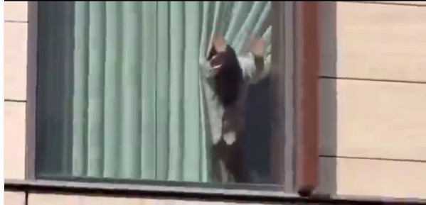 As A Reminder, Stay Away From Windows When You’re Having Sex Or You Might End Up On This Website😍😍