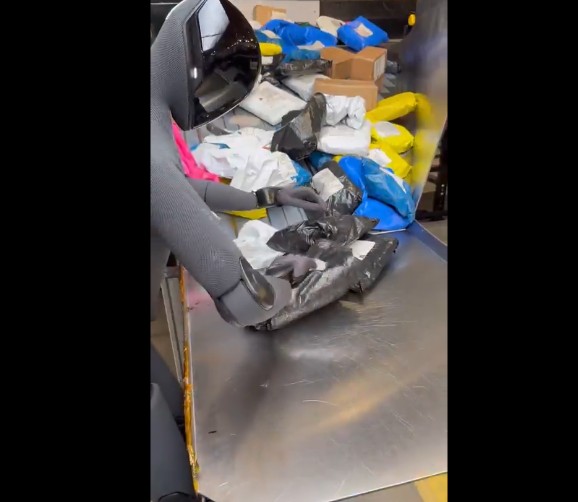 Another Job Lost. A Robot Has Been Hired To Help Sort Through Packages At Some Warehouse.