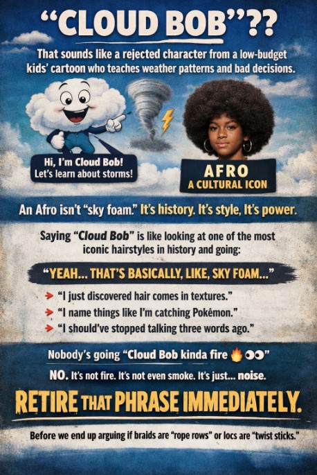 It Has Come To My Attention That Some White Person Is Calling The Afro A Cloud Bob.. WTF! We’re Not Doing This. Not Today. Not Ever.
