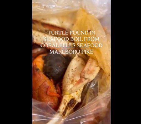 Eww! A Man Claims He Found A Turtle In His Seafood Boil.