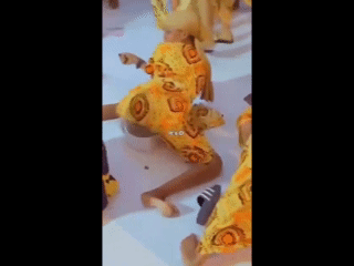The Twerk Or Baikoko, Whatever You Call It, African Women Will Always Do It Better.