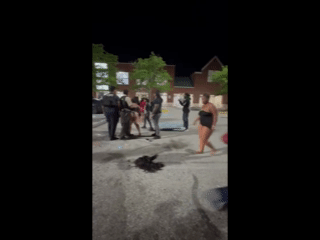 NSFW. Boobs Came Out, Butts Came Out, And Wigs Went Flying At A Brawl Outside The Strip Mall