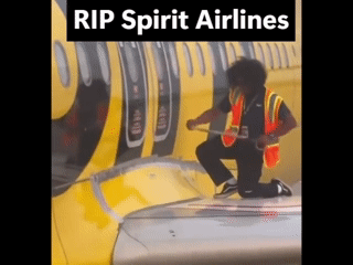 In Memoriam. RIP Spirit Airlines. Your Nonsense Will Be Missed!